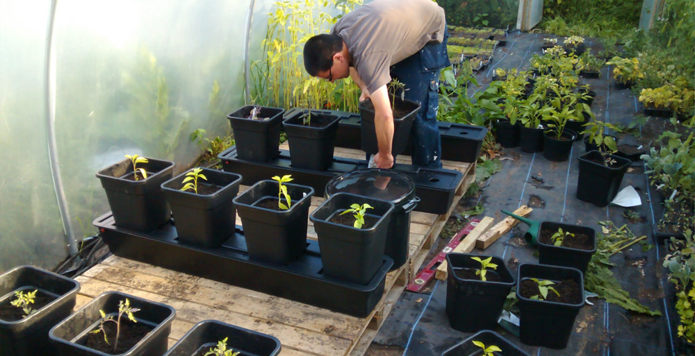 Therapeutic-Horticulture
